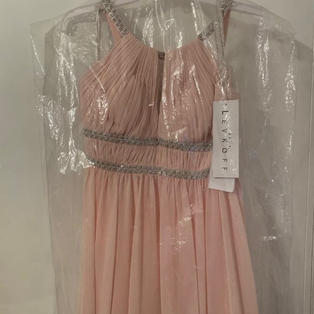 Bill Levkoff Formal Dress Petal Pink Size 2